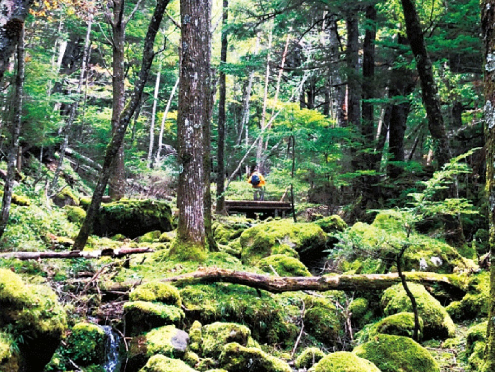 八ヶ岳高原ロッジの宿泊記ブログが面白い 温泉は無いが周辺でお得に楽しめる 八峰の湯 がある 旅ソム 旅行のソムリエ