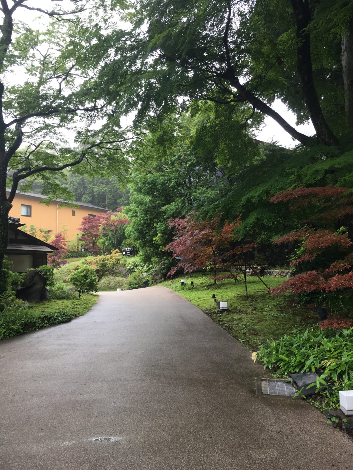 箱根翠松園の通路