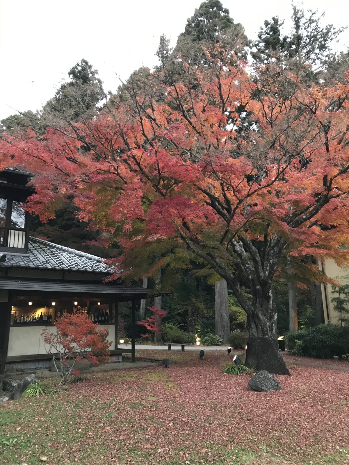 箱根翠松園の外観