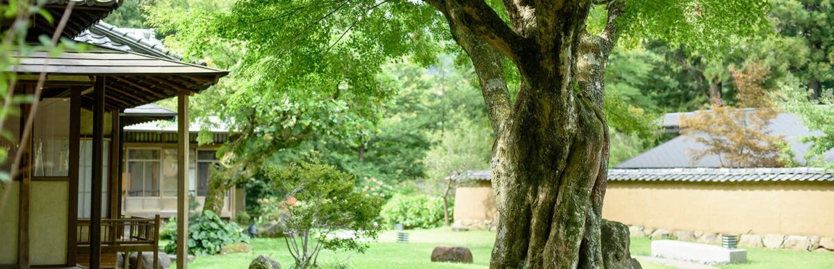 箱根翠松園の庭園