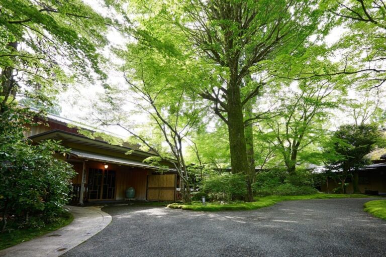 亀の井別荘に最悪 がっかりの声の宿泊記ブログは1件のみ 食事 ランチの口コミは満足の声多数 旅ソム 旅行のソムリエ
