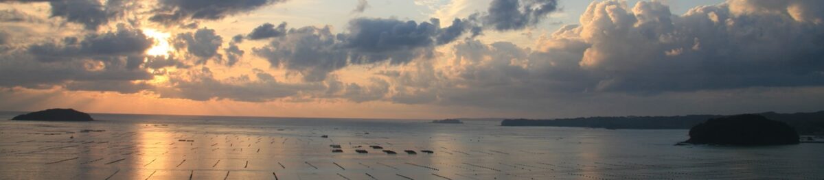 南三陸ホテル観洋から見た朝焼けの写真