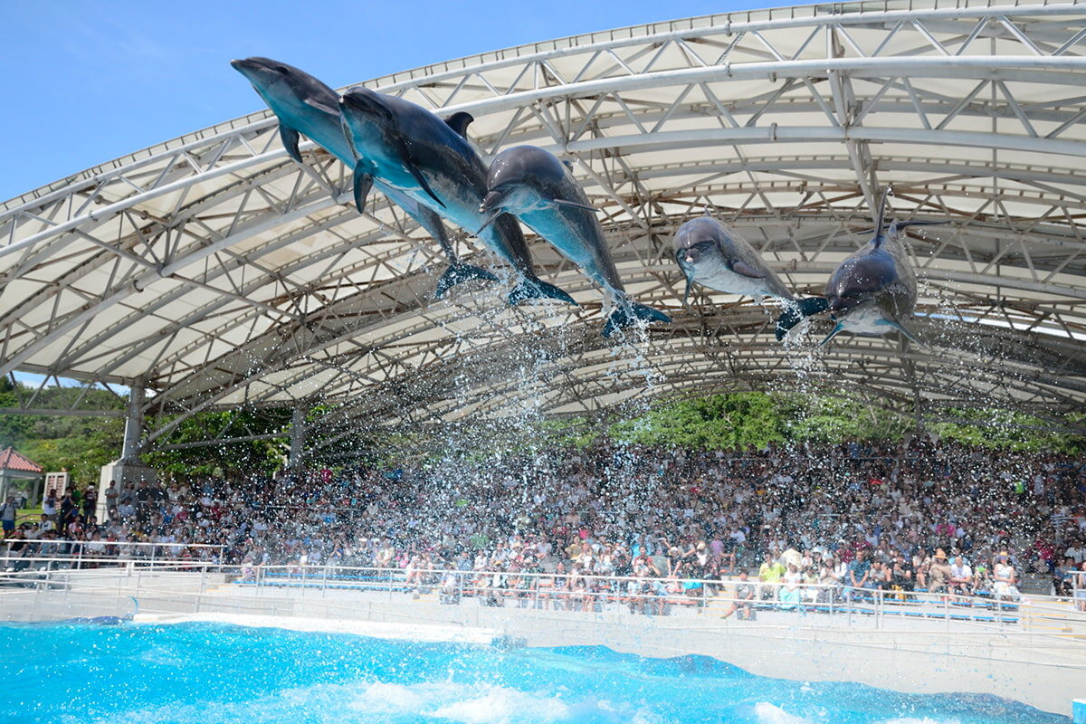 ザ ブセナテラスの部屋のおすすめはvip待遇のあのタイプ アフタヌーンティーで極上バカンスを満喫 旅ソム 旅行のソムリエ